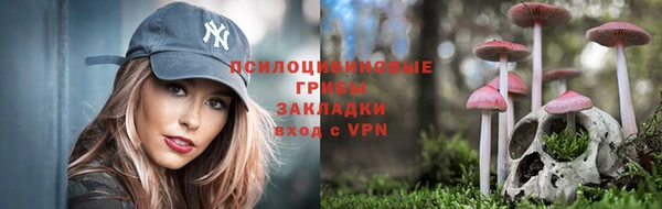 ГАЛЛЮЦИНОГЕННЫЕ ГРИБЫ Баксан