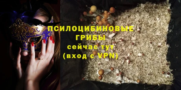 ГАЛЛЮЦИНОГЕННЫЕ ГРИБЫ Баксан