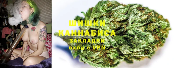 ГАЛЛЮЦИНОГЕННЫЕ ГРИБЫ Баксан